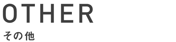 その他